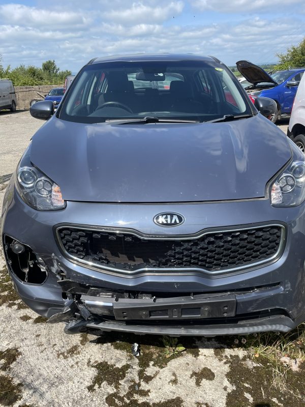 2019 SPORTAGE CRDI
